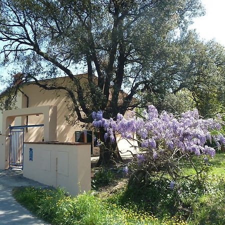 Al Vecchio Leccio Pensionat Pistoia Exteriör bild