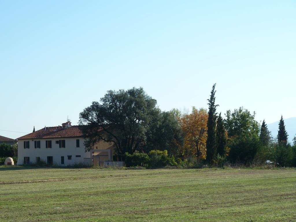 Al Vecchio Leccio Pensionat Pistoia Exteriör bild